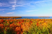 Tees in their autumn colors with the water in the distance from the air.