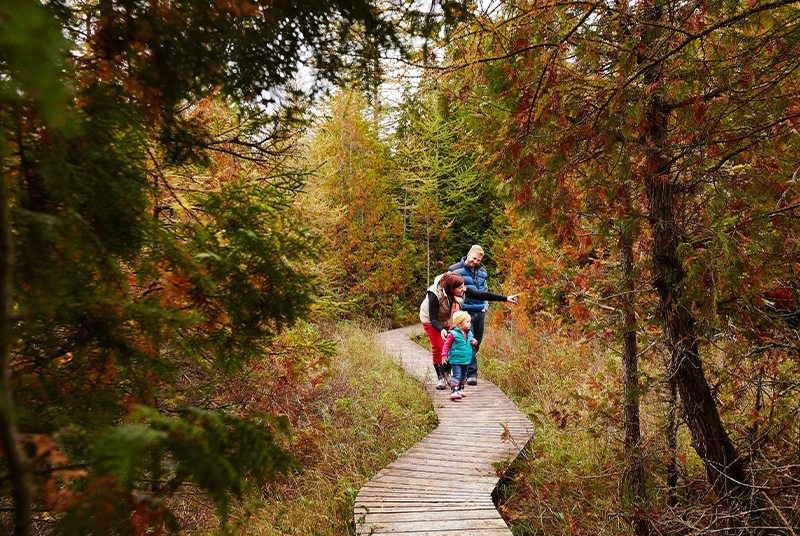 A family hikes on a fall day at The Ridges Sanctuary.