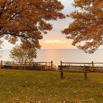 Bench at an overlook looking out at the lake