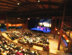 Performers indoors in front of a crowd.