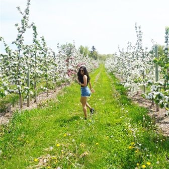 A woman walking through blossoming trees.