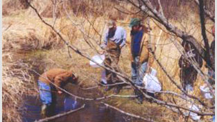 A group in a creek and field.