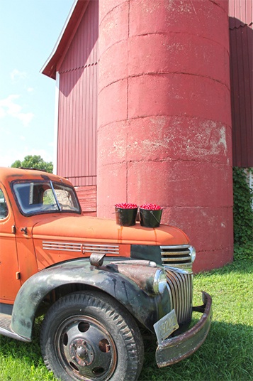 Cherry pails on the hood of a red truck in front of a red barn