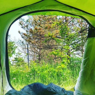 Point of view look out of a tent door at trees