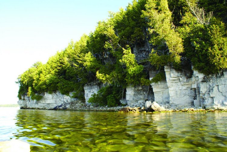 Shallow water along a rock face with trees.