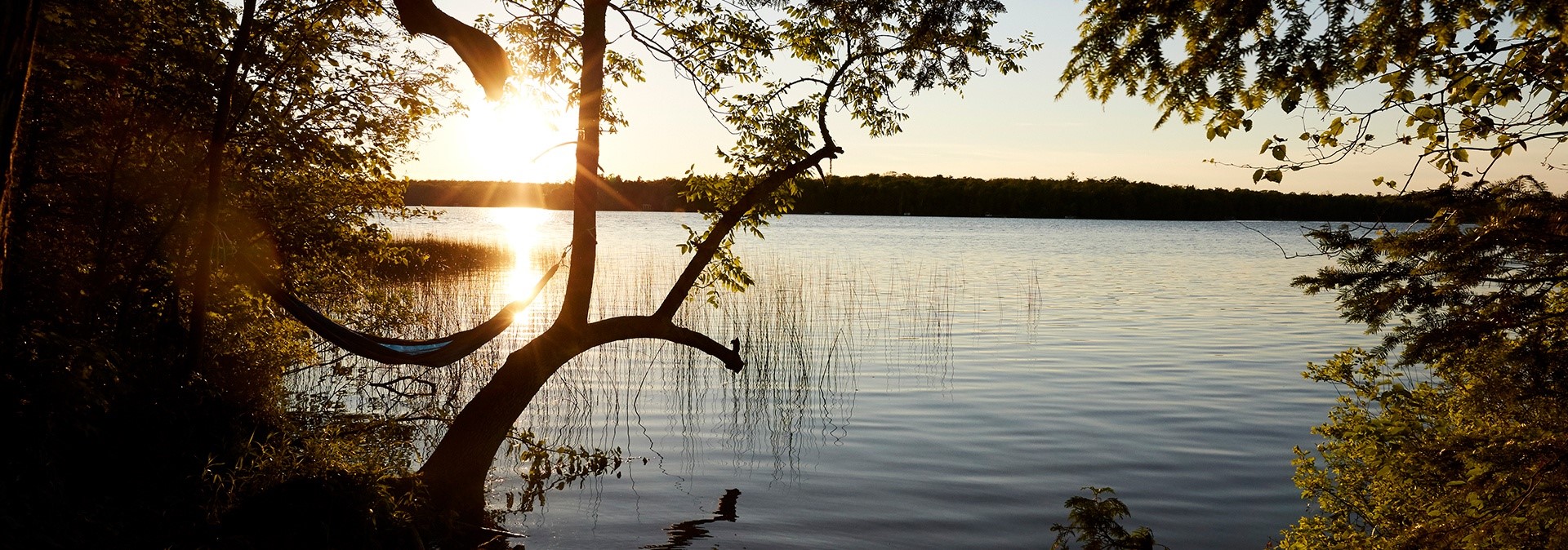 Sunset over the lake looking through the trees