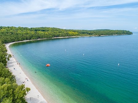 Green trees lining the beach at the lakefront.