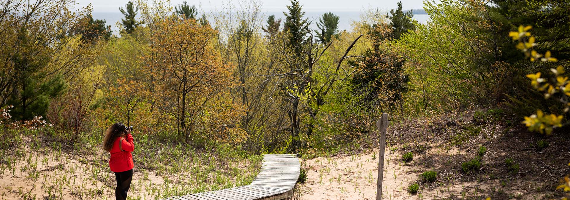 A woman on a boardwalk through the trees