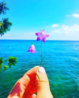 Fingers holding up a small wildflower at the lakefront
