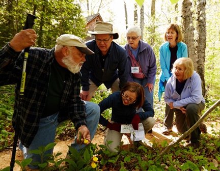 A group hiking through the woods learning about plants.