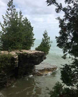 Rock and tree-lined water inlet 