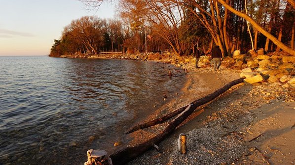 Golden hour sunset over the lake, beach, and tree line