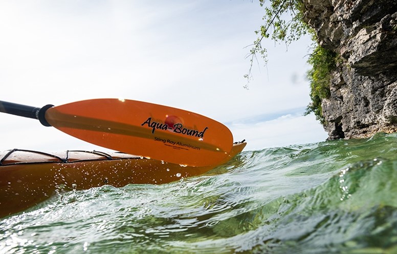 Closeup of a kayak paddle coming out of the water.